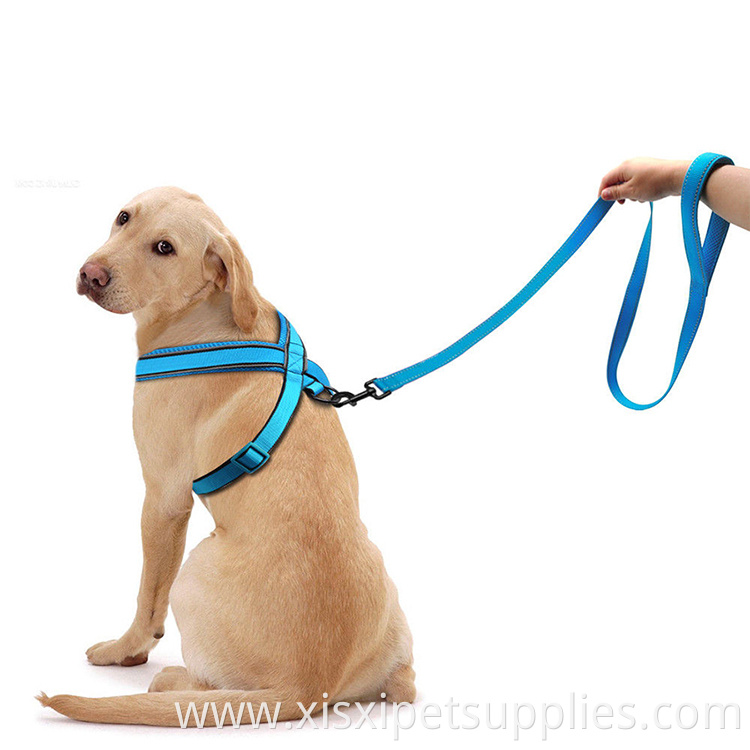 Reflective Rose Red Mesh Padded Dog Harness and Leash